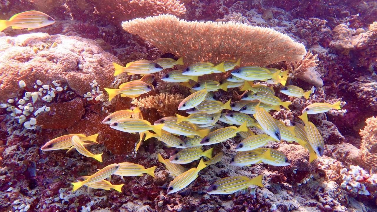 Wow Inn Keyodhoo Keyodhoo  ภายนอก รูปภาพ